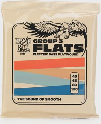 Ernie Ball EB2806 Flatwound Group III Electric Bass Strings - .045-.100