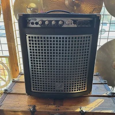 Yorkville Bassmaster 100 Combo Amp