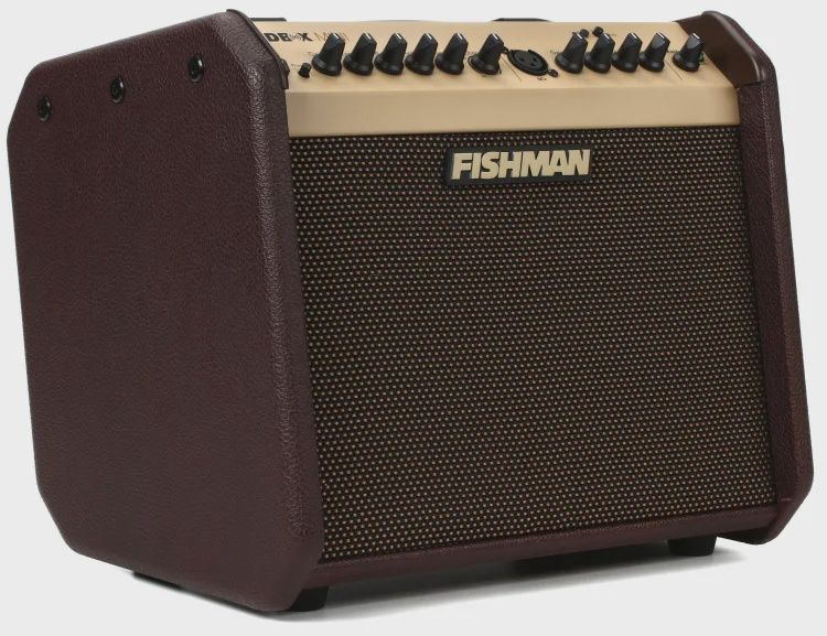 Fishman Loudbox Mini BT 60-watt 1 x 6.5-inch Acoustic Guitar Amplifier