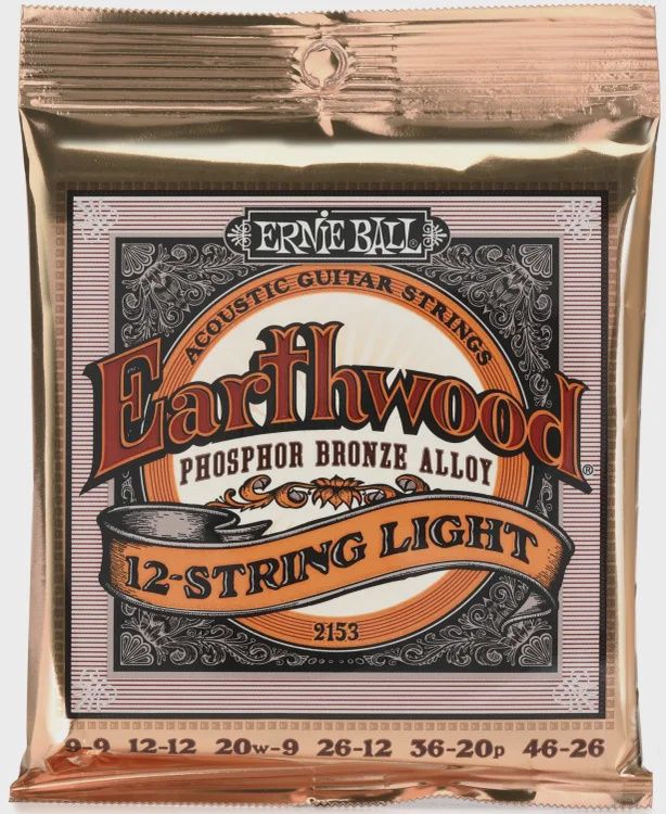 Ernie Ball Earthwood 12 string Light