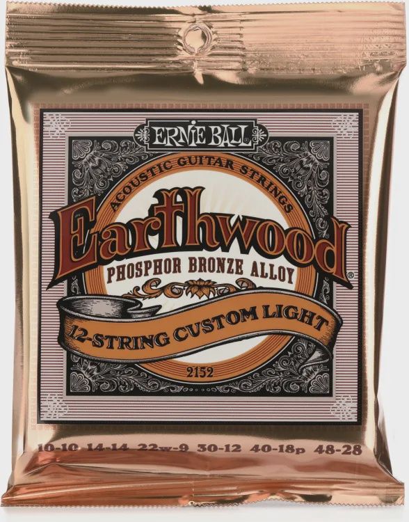 Ernie Ball Earthwood 12 string custom light