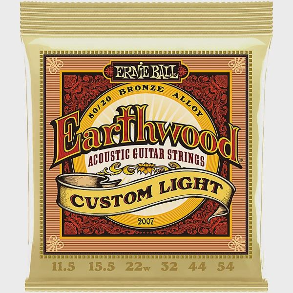 Ernie Ball Earthwood custom light .