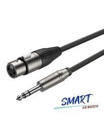 Roxtone 16.4 ft mic cable