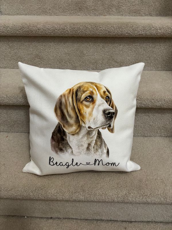 Custom 16X16 Pillow Cover (no pillow)