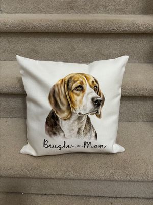Custom 16X16 Pillow Cover (no pillow)