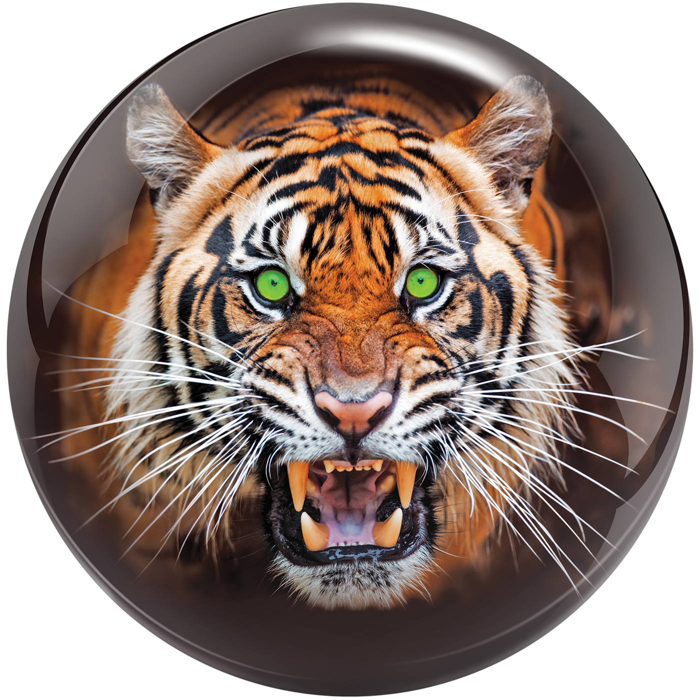 TIGER VIZ-A-BALL, Weight: 6, Ball Type: Polyester