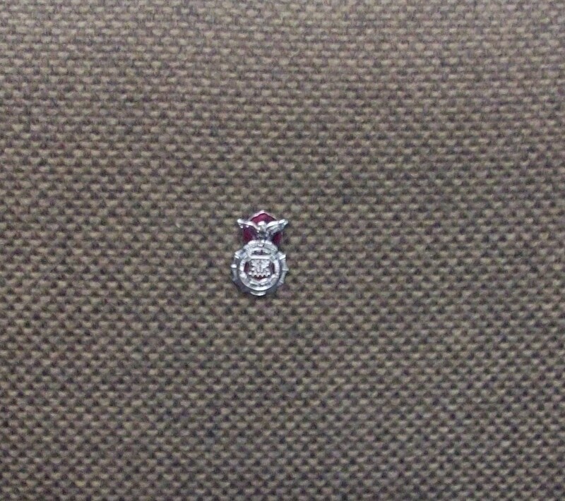 Cop Badge, Chrome, Sm