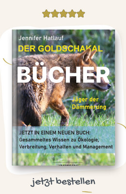 BÜCHER (BOOKS)