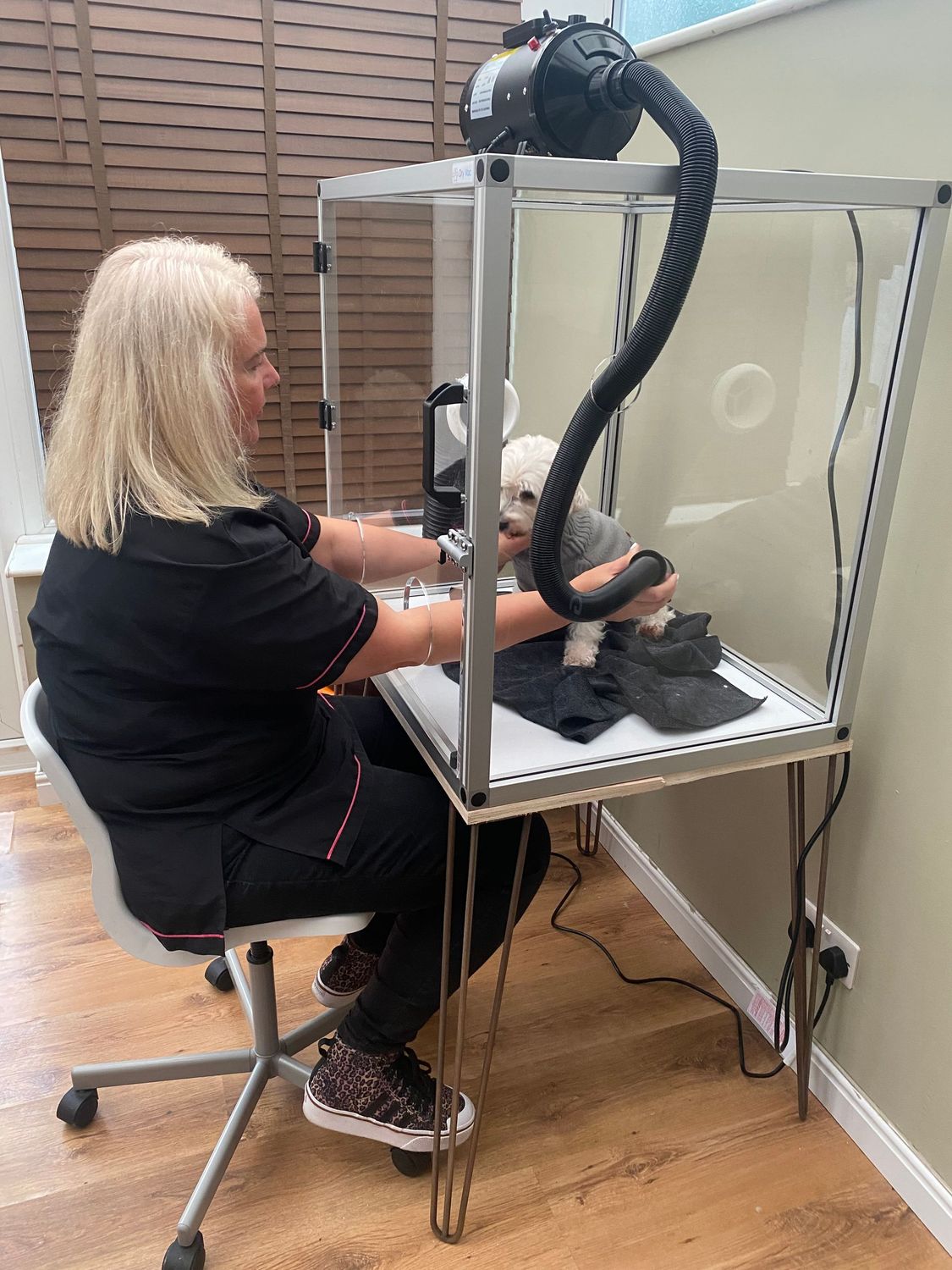 Dry Vac Including Extraction & Dryer