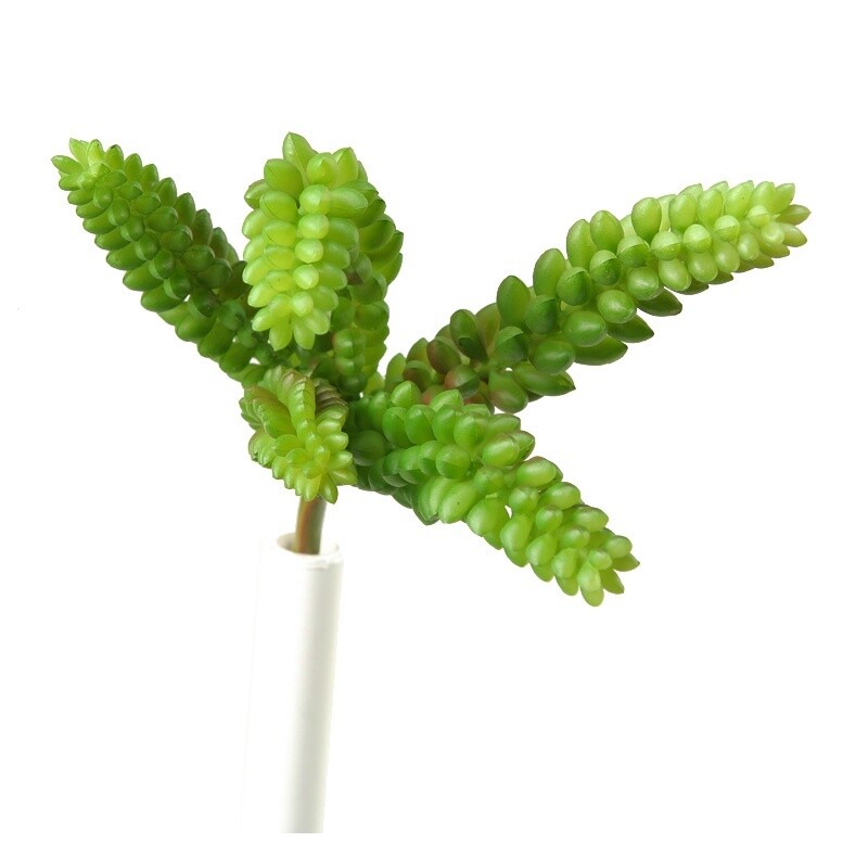 Burro&#39;s Tail Faux Succulent