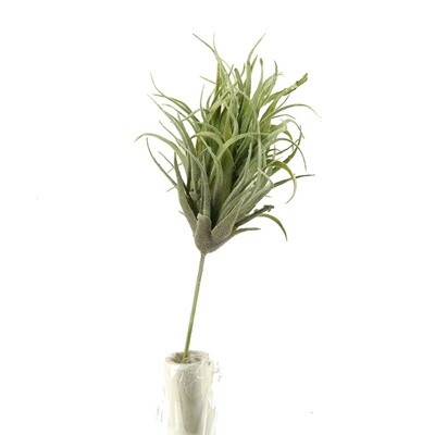 Air Plant Faux Succulent