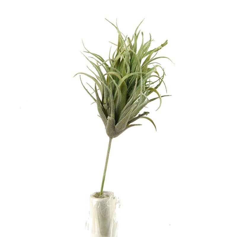 Air Plant Faux Succulent