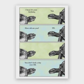Turtle Birthday
