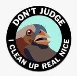 Don&#39;t Judge Sticker