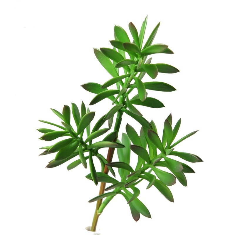 Jade Faux Plant