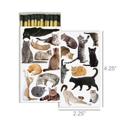 Cat Pack Matches