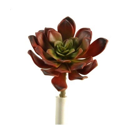 Red Green Ecreveria Faux Succulent