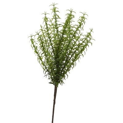 Springeri Bunch