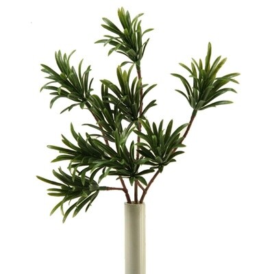 Propgoda Spray