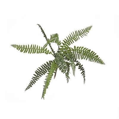 Faux Boston Fern