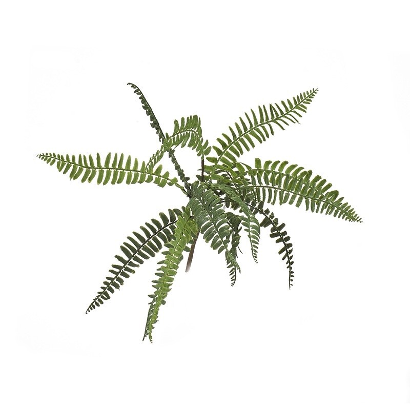 Faux Boston Fern