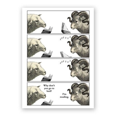 Sleeping Sheep Card