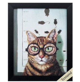 Feline Eye Exam