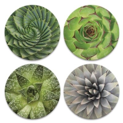 Blossoming Succulent Coaster - Round