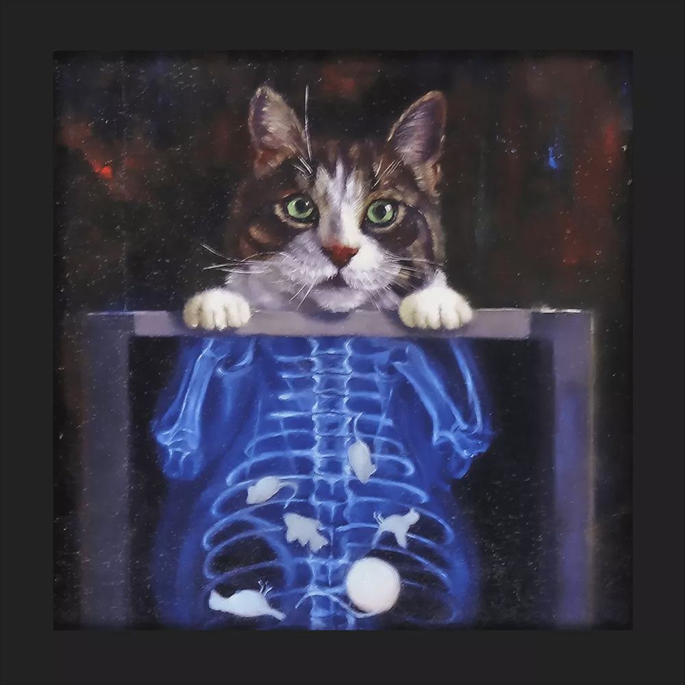 Cat Scan