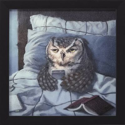 Night Owl