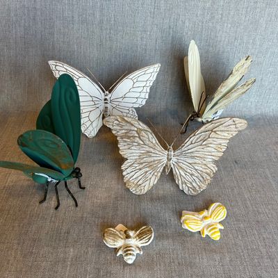 Butterflies &amp; Insects