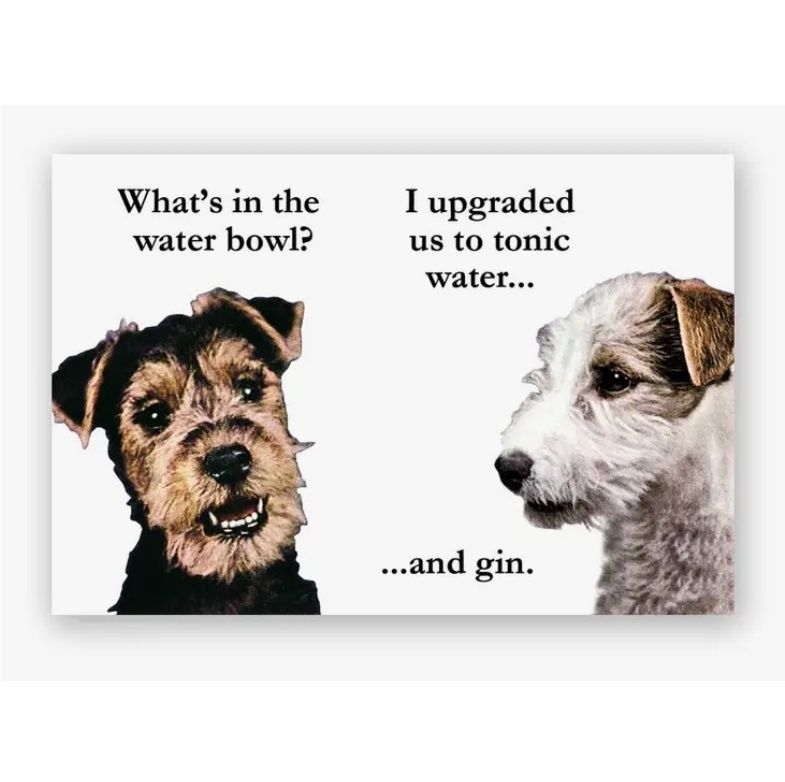 Gin &amp; Tonic Dogs Magnet