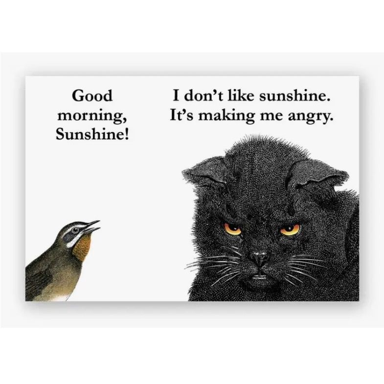 Sunshine Magnet