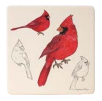 Bird Field Guide Coaster, Style: Cardinal