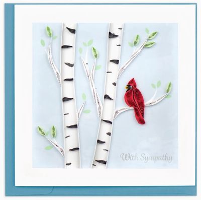 Cardinal Sympathy