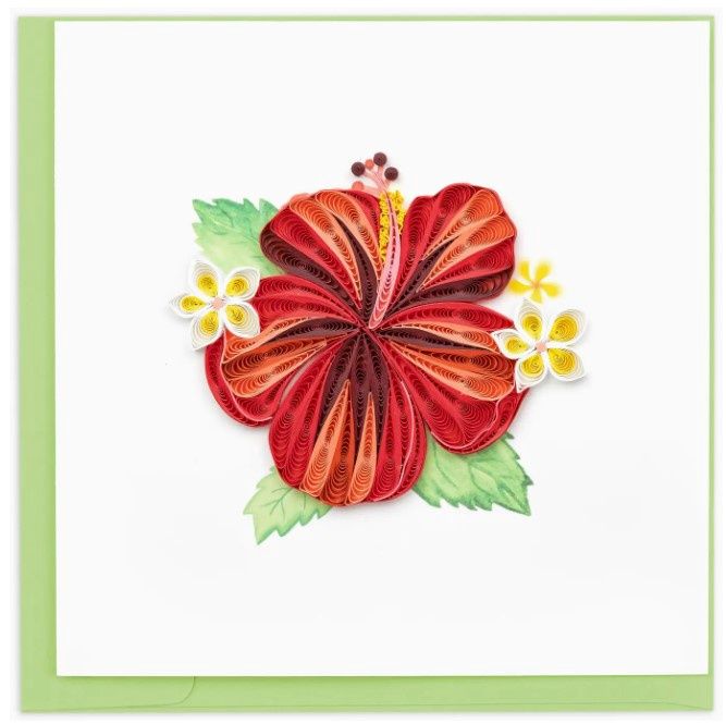 Hibiscus