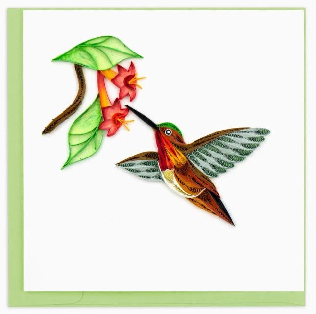 Rufous Hummingbird