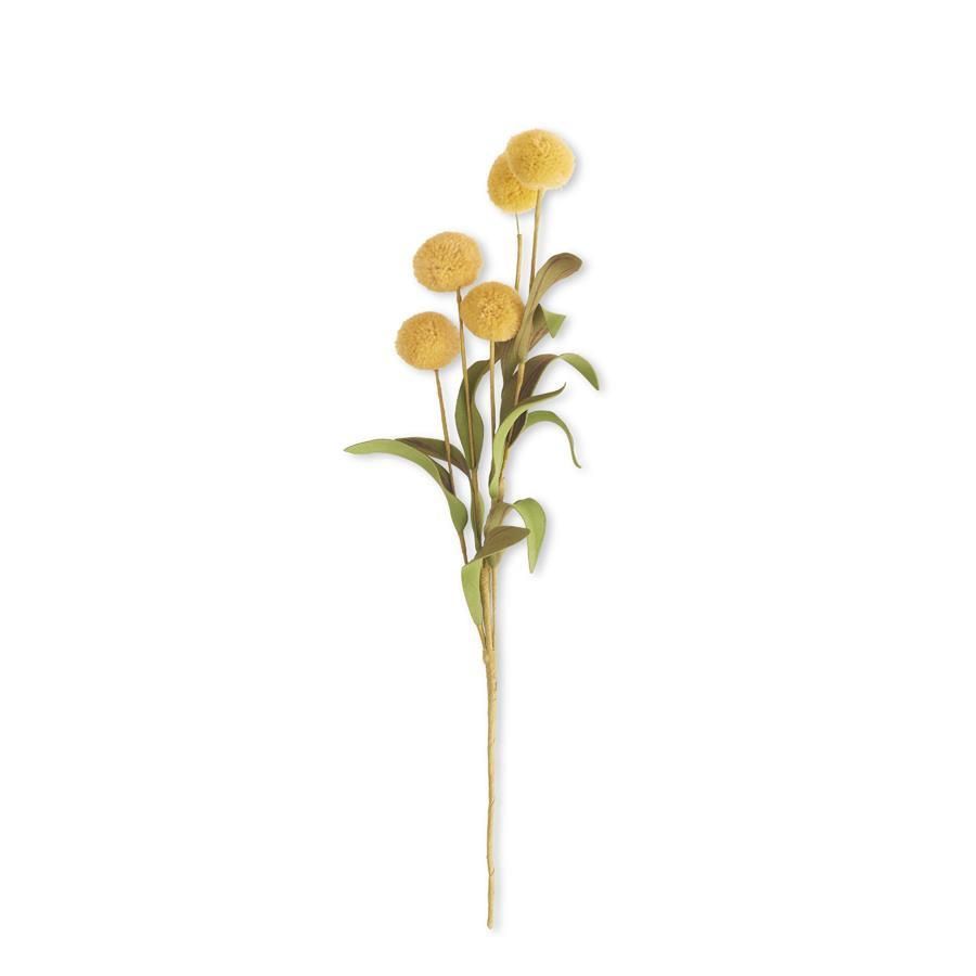 Pompoms Single Stem, Color: Yellow