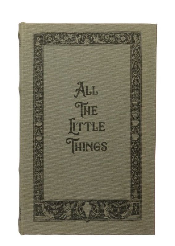 Secret Book Box, Size: Big