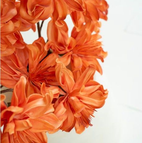 Bright Orange Flowers