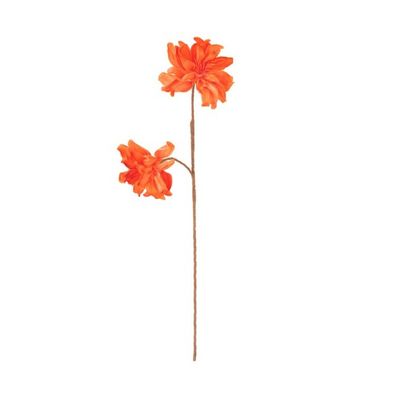 Bright Orange Flowers