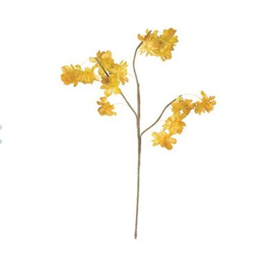 Fluffy Yellow Flowers