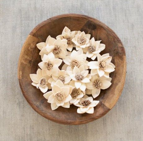 Bag of 16 Dried Rukmani Flowers