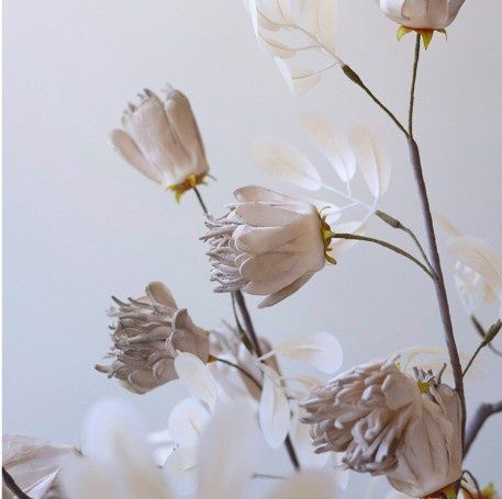 White and Taupe Flowers