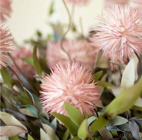 Dusty Rose Floofy Flowers