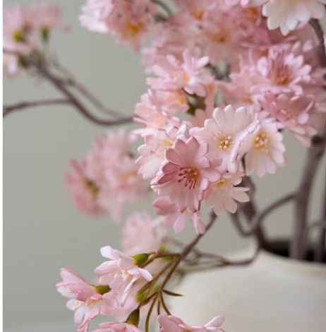 Tiny Pink Flowers