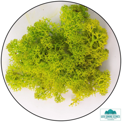 Lichen &amp; Foliage