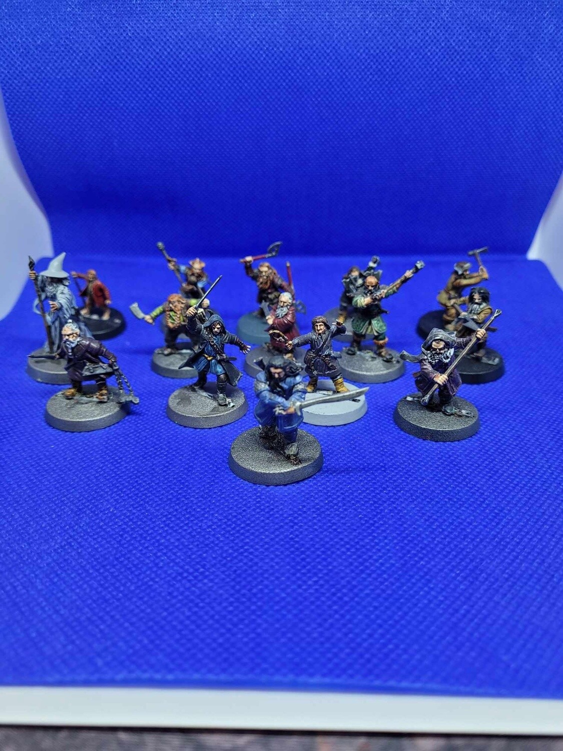 Thorin&#39;s Company (Painted)