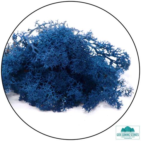 Lichen - Reindeer Moss (Icelandic Moss) Dark Blue