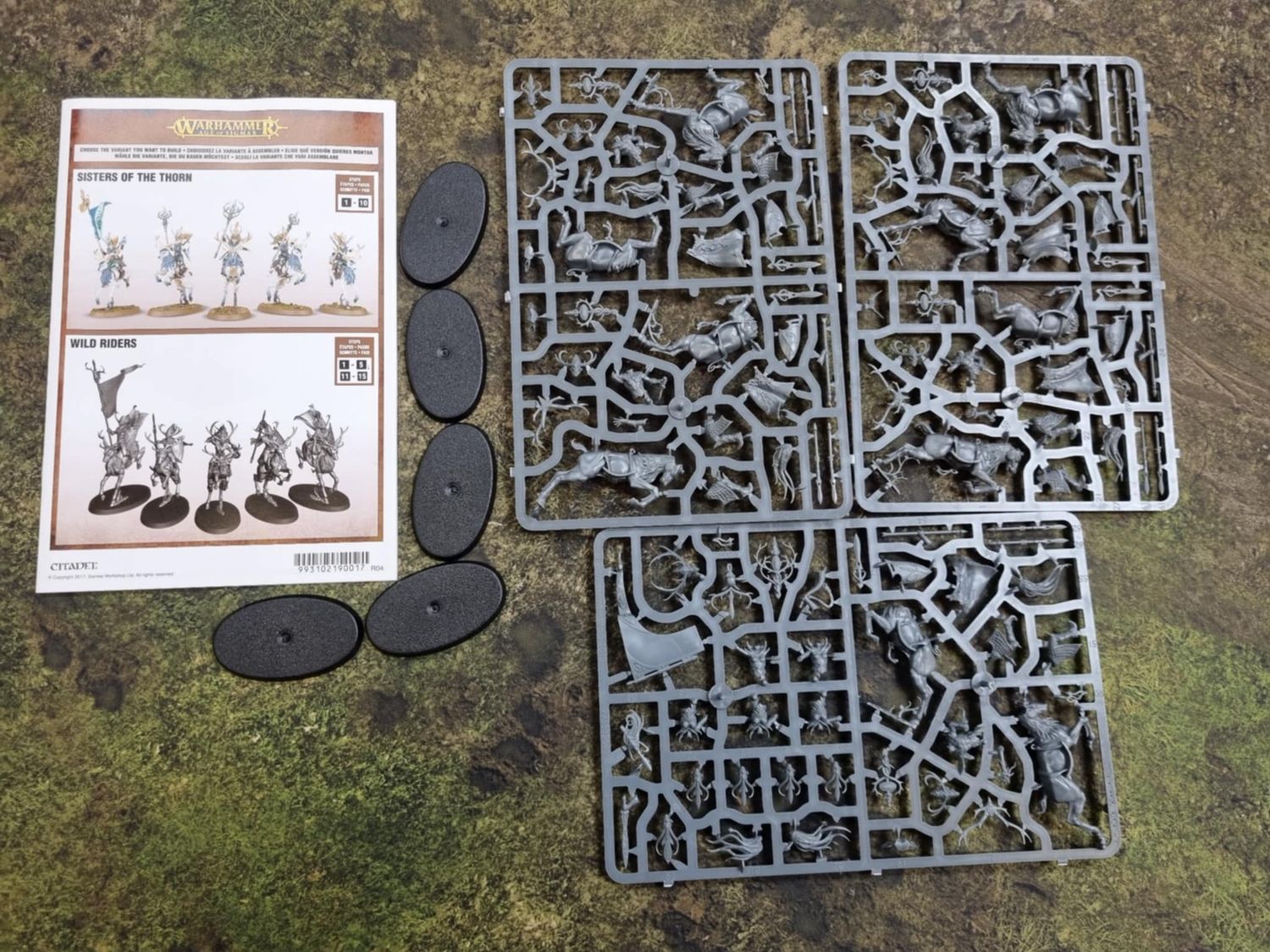 Wood Elves: Sisters of the Thorn (NOS)
